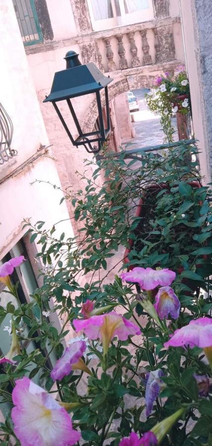 דירות Tappa A ביטונטו מראה חיצוני תמונה