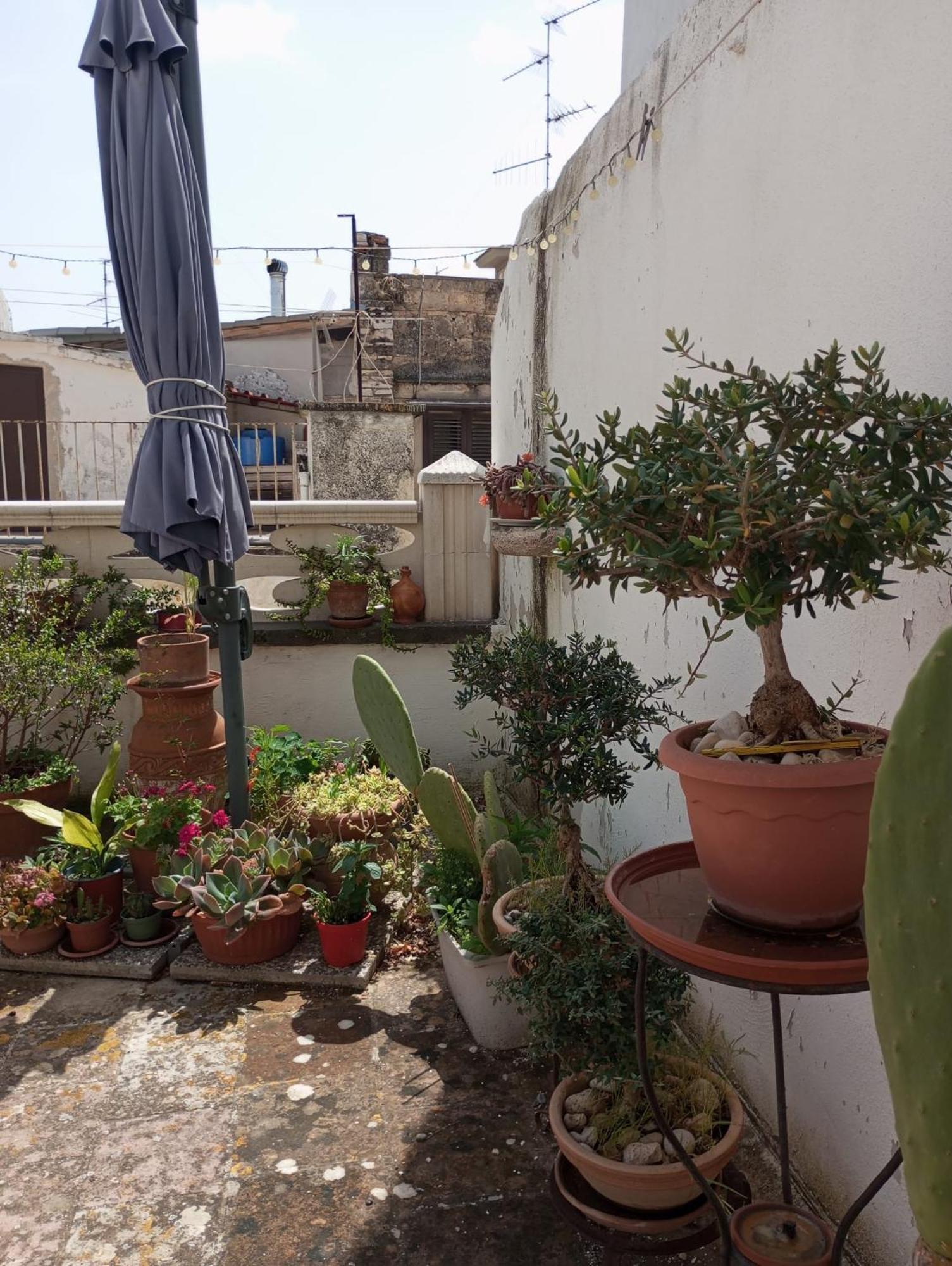 דירות Tappa A ביטונטו מראה חיצוני תמונה