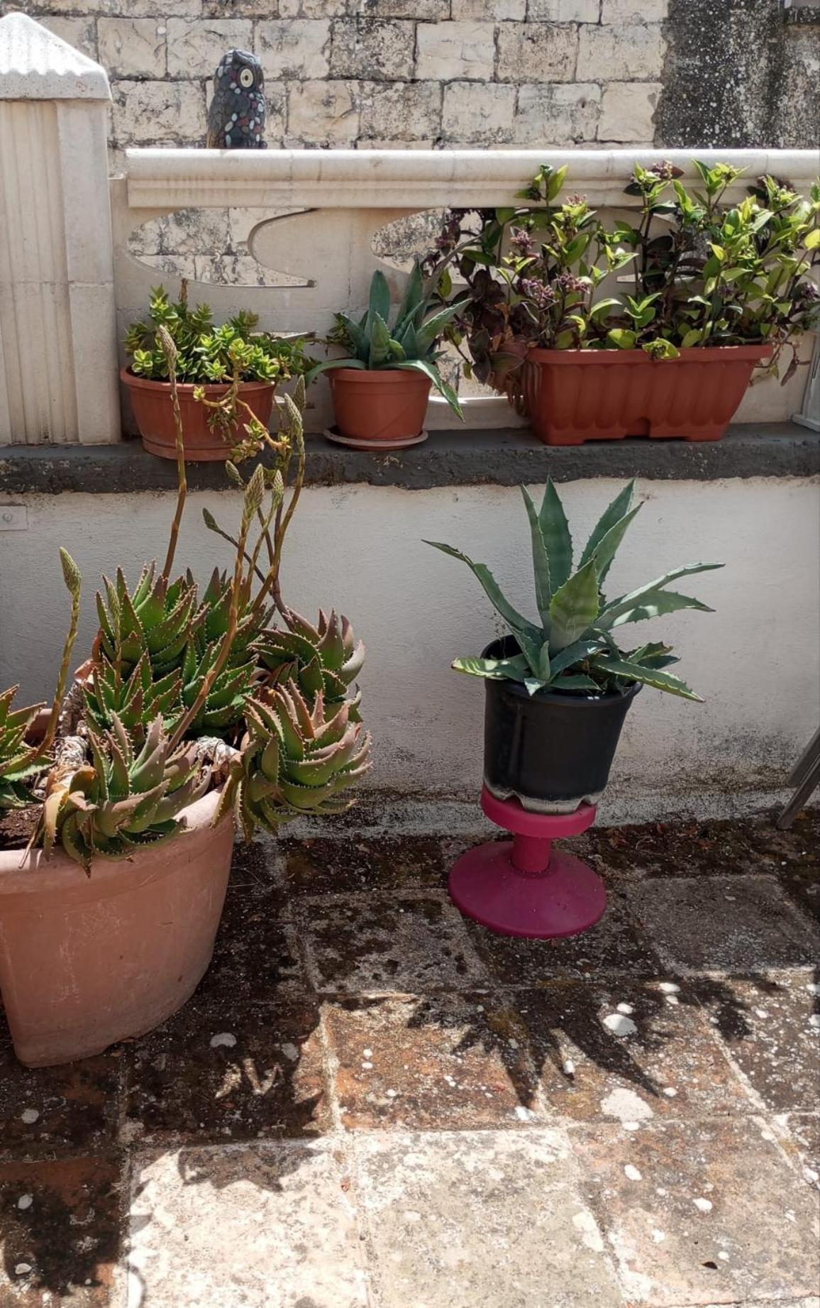 דירות Tappa A ביטונטו מראה חיצוני תמונה